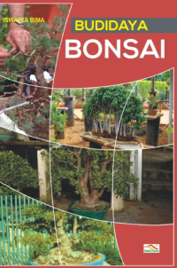Image of BUDIDAYA BONSAI
