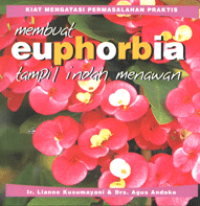 Image of membuat euphorbia tampil indah menawan