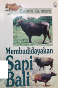 Image of MembudidayakanSapi Bali